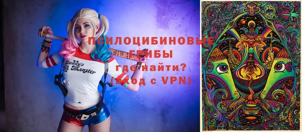 стафф Арсеньев