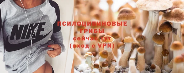а пвп мука Армянск